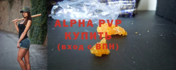 spice Ельня