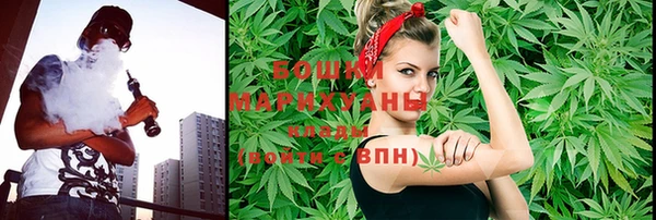 spice Ельня