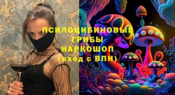spice Ельня