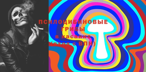дживик Елизово
