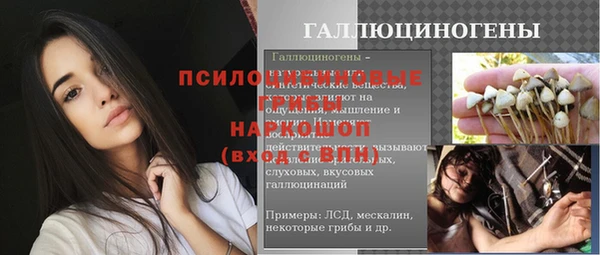 дживик Елизово