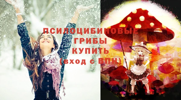 бошки Елабуга